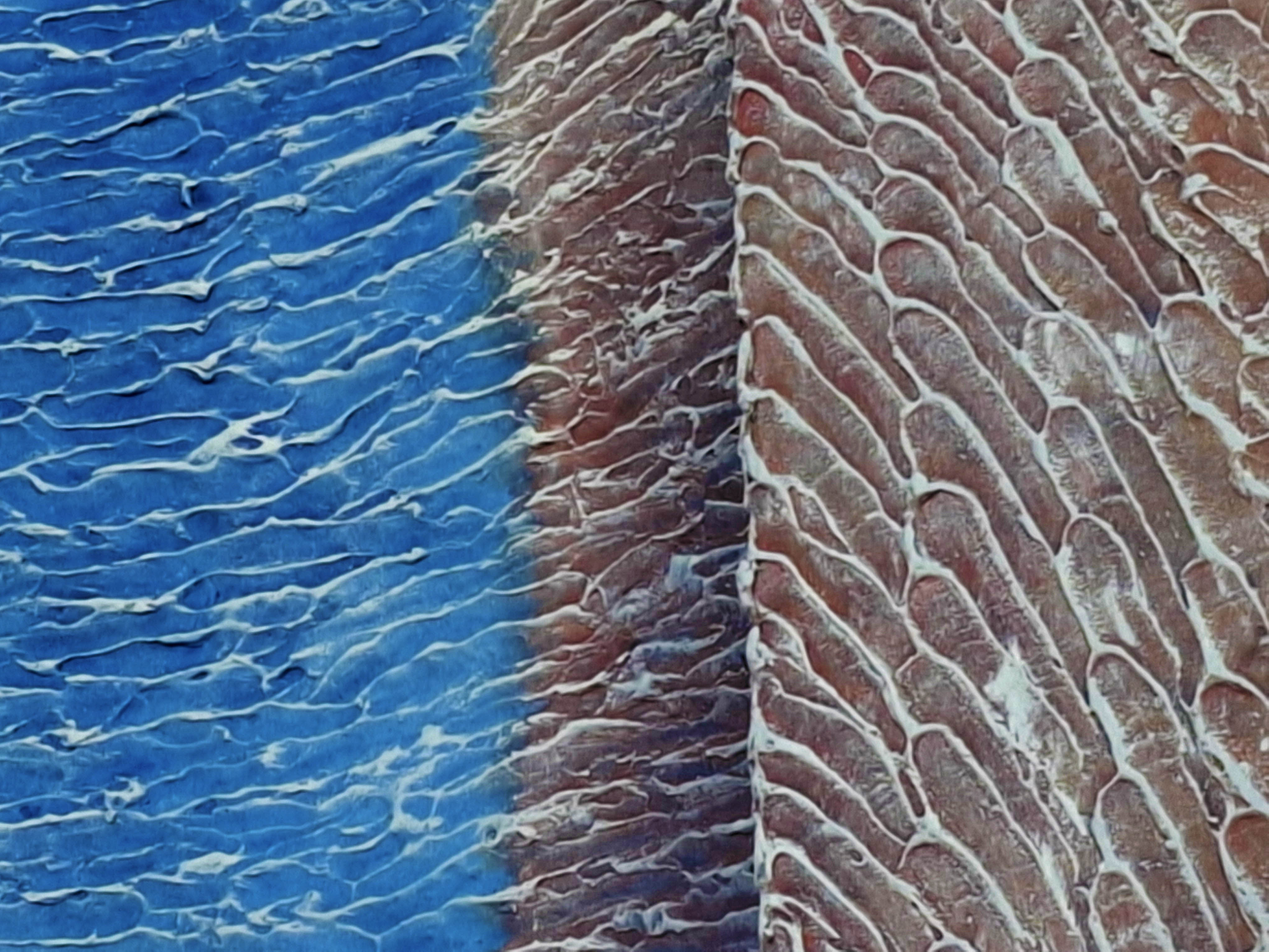 Painting in Relief By DAPACU